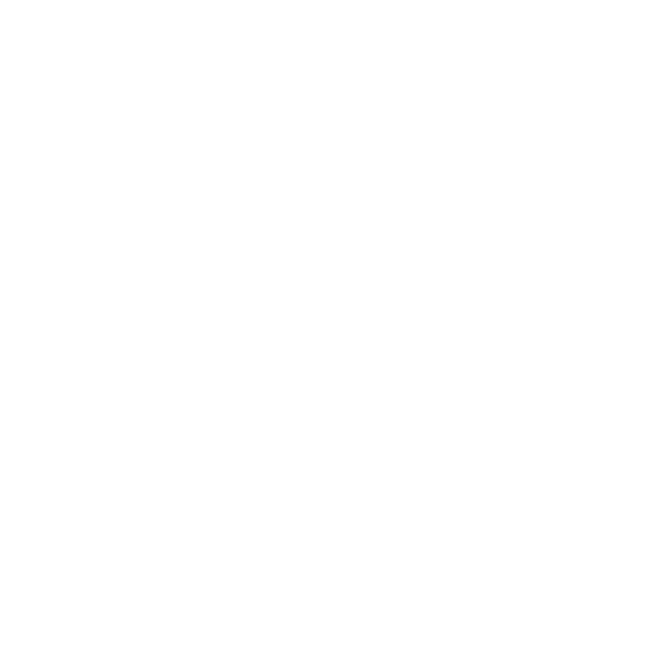 VX Logo